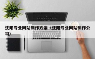 宁夏沈阳专业网站制作方案（沈阳专业网站制作公司）